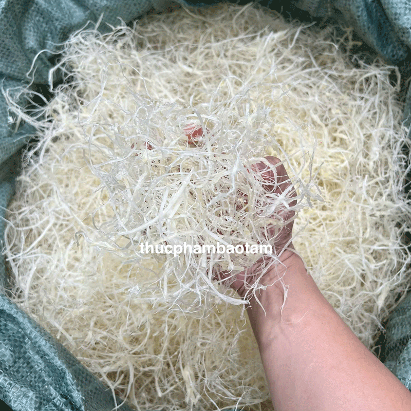 Vi Cá Mập Xé Sợi 6 vi cá mập xé sợi