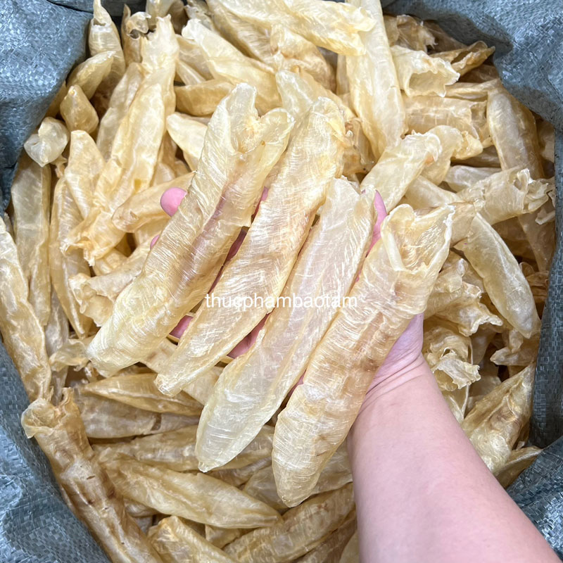bóng cá chẽm 50 con