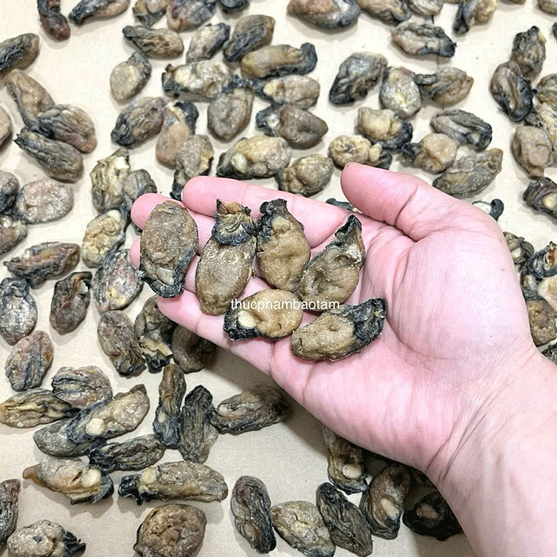 hàu sấy khô nhỏ