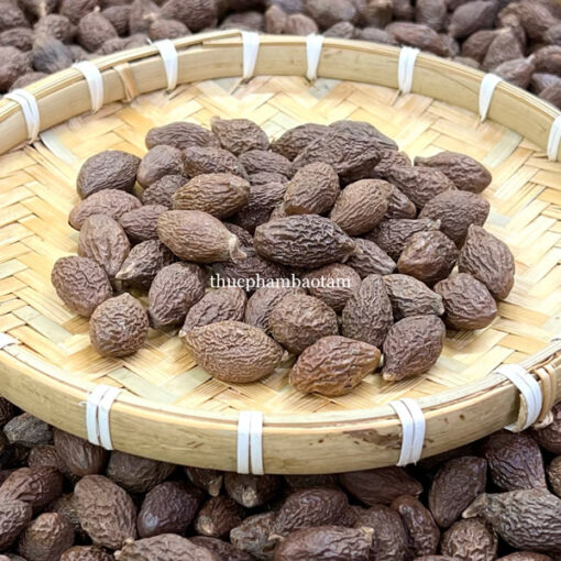 sỉ hạt đười ươi