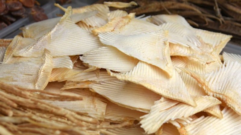Nguồn sỉ vi cá mập chất lượng cao