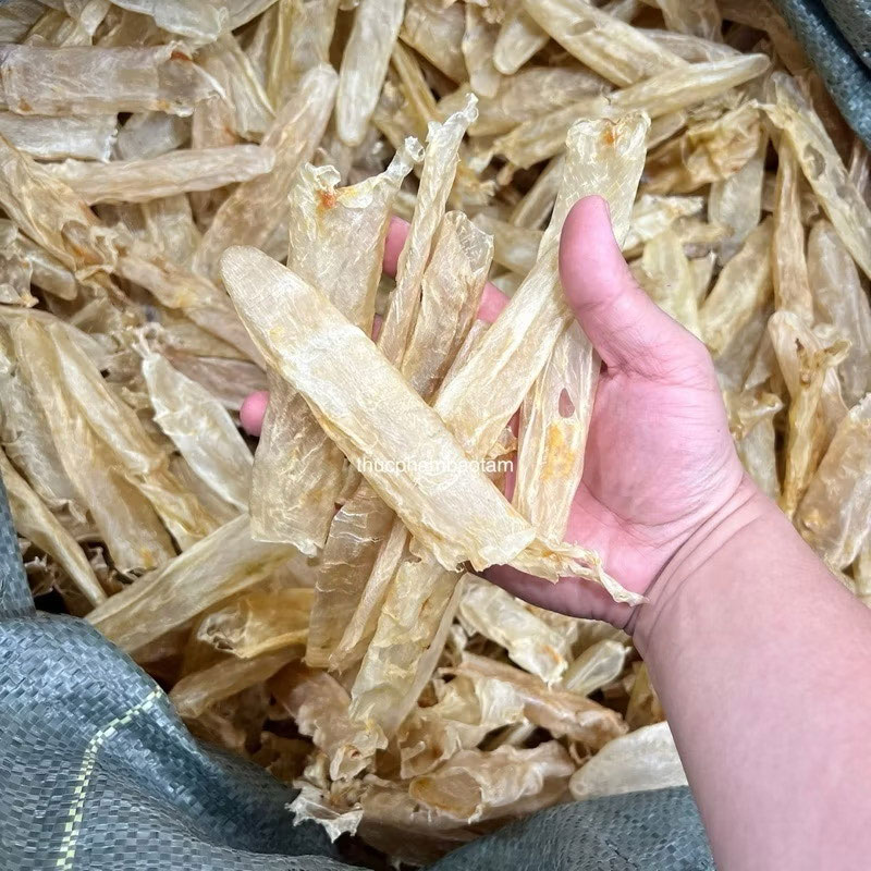 bóng cá chẽm 250 con