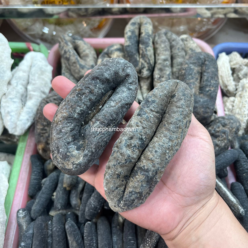 bán hải sâm táo khô