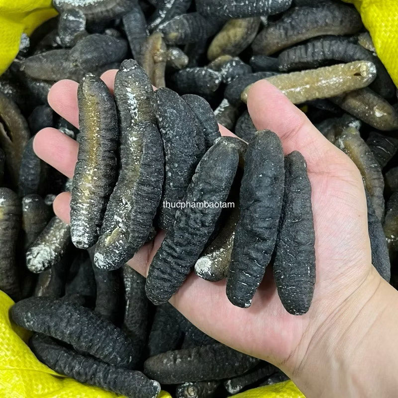 hải sâm khô 70 con