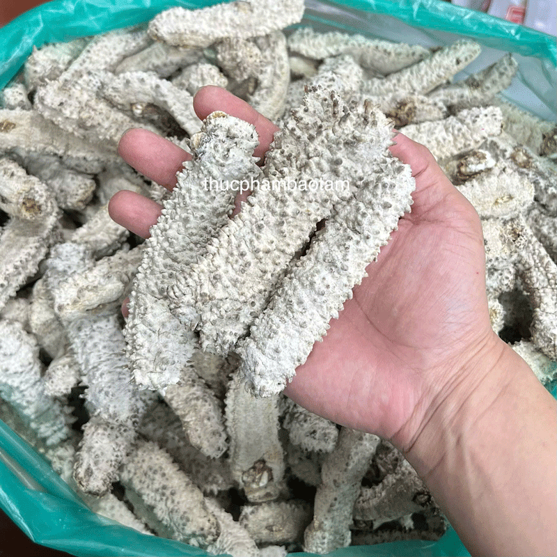 hải sâm nậng vàng khô