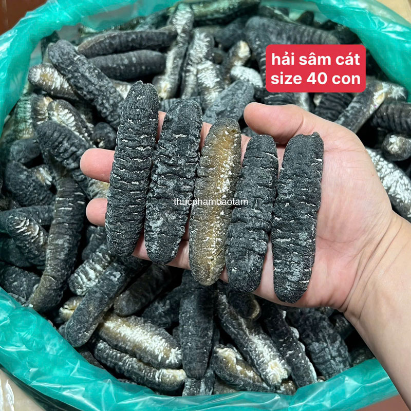 sỉ hải sâm cát khô