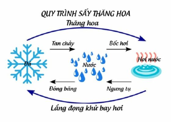 say-thang-hoa-la-gi