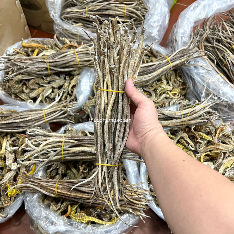 hải long khô