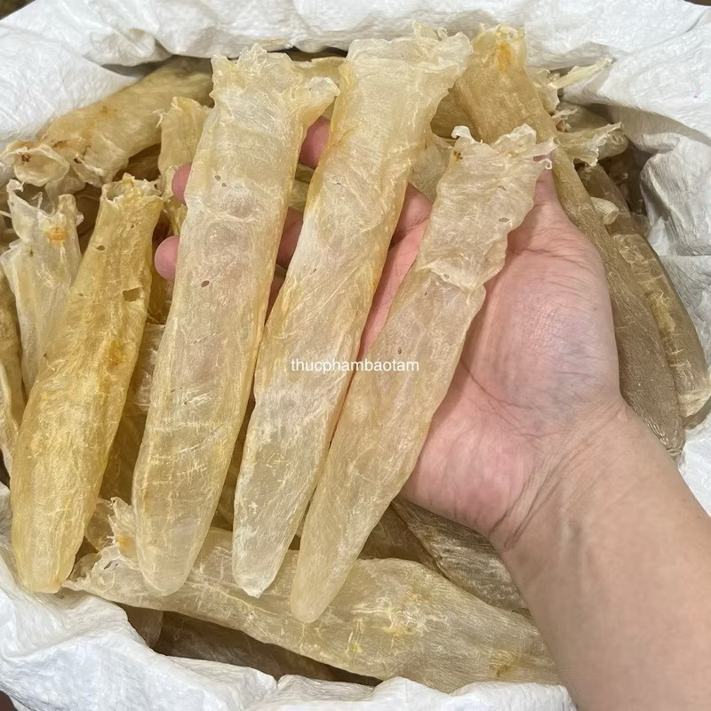 bóng bóng cá chẽm 70 con